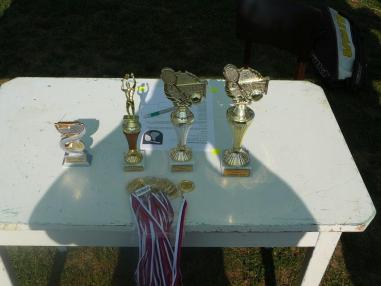 Tenisový turnaj Hrušovany 2012 Tenisový turnaj Hrušovany 2012