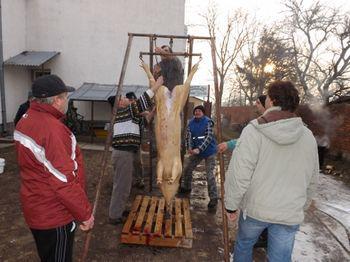 Fašiangová zabíjačka 2013 Fašiangová zabíjačka 2013