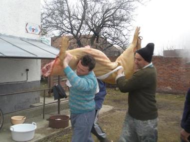Fašiangová zabíjačka 2011 Fašiangová zabíjačka 2011